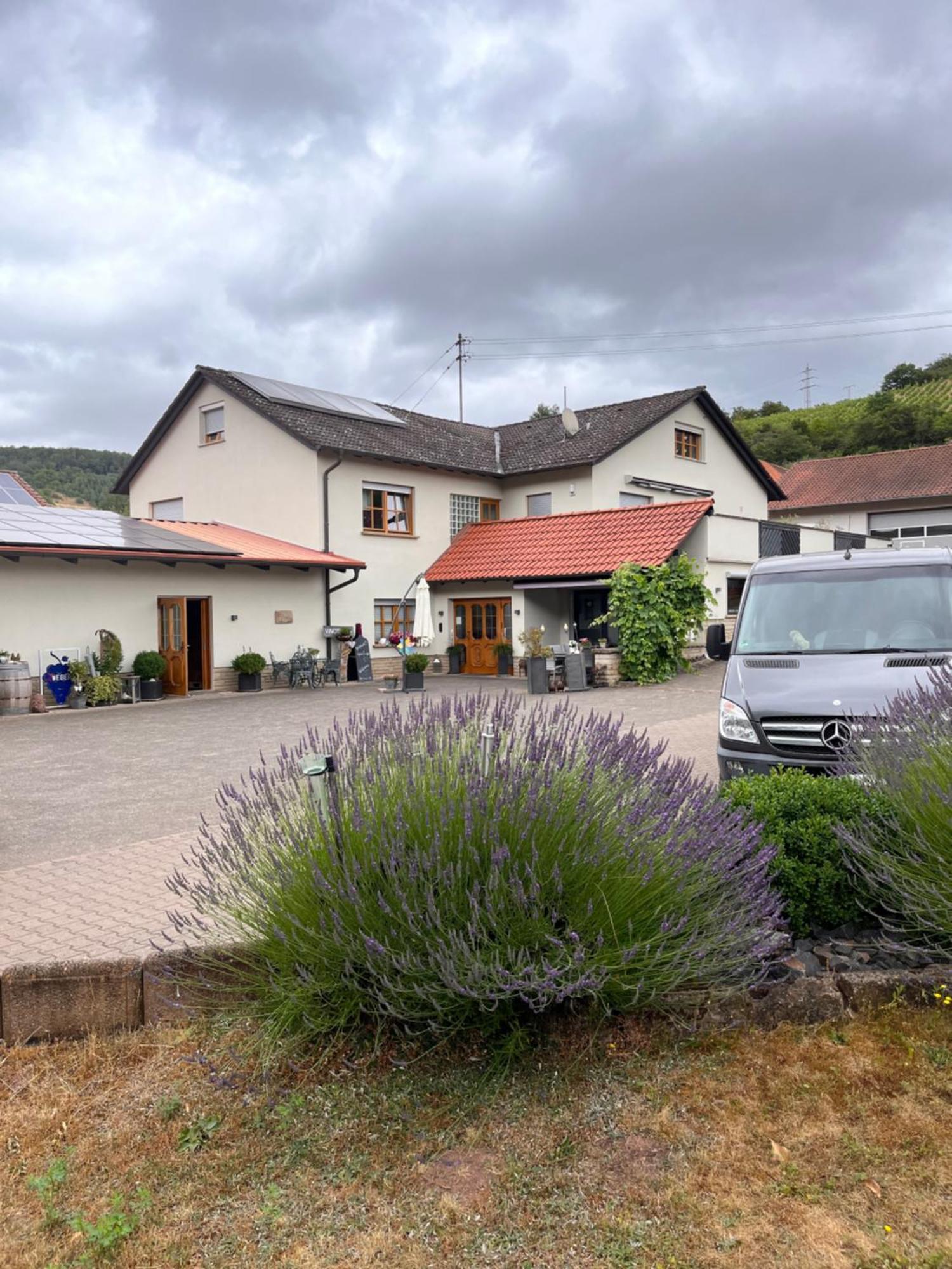 Moderne Ferienwohnung Auf Dem Weingut Monzingen Exterior photo
